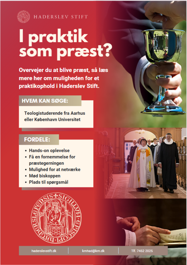 Forside af foldere præstepraktik i Haderslev Stift