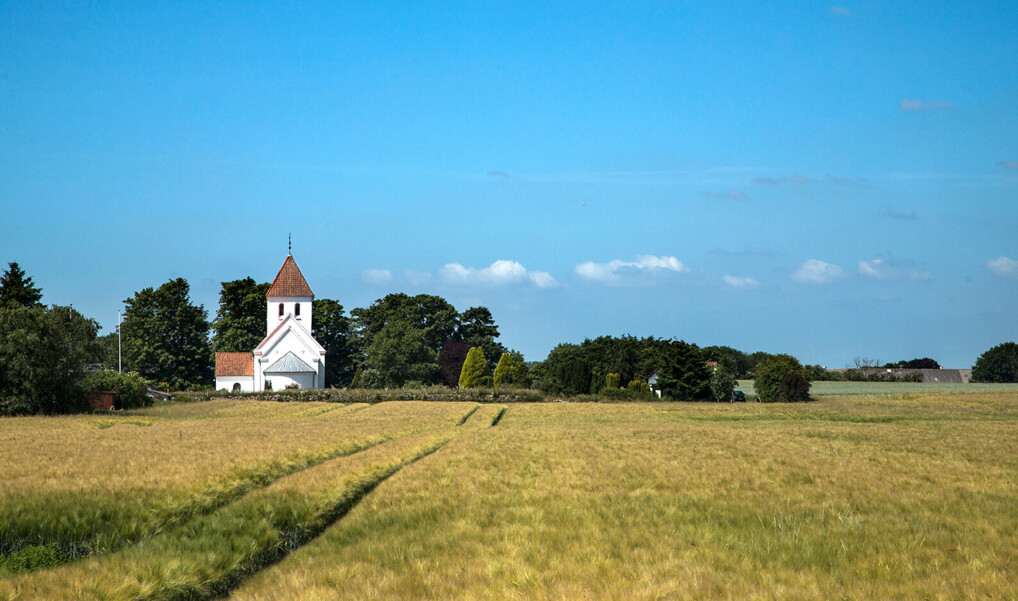 Hvidkalket kirke i landskab med blå himmel