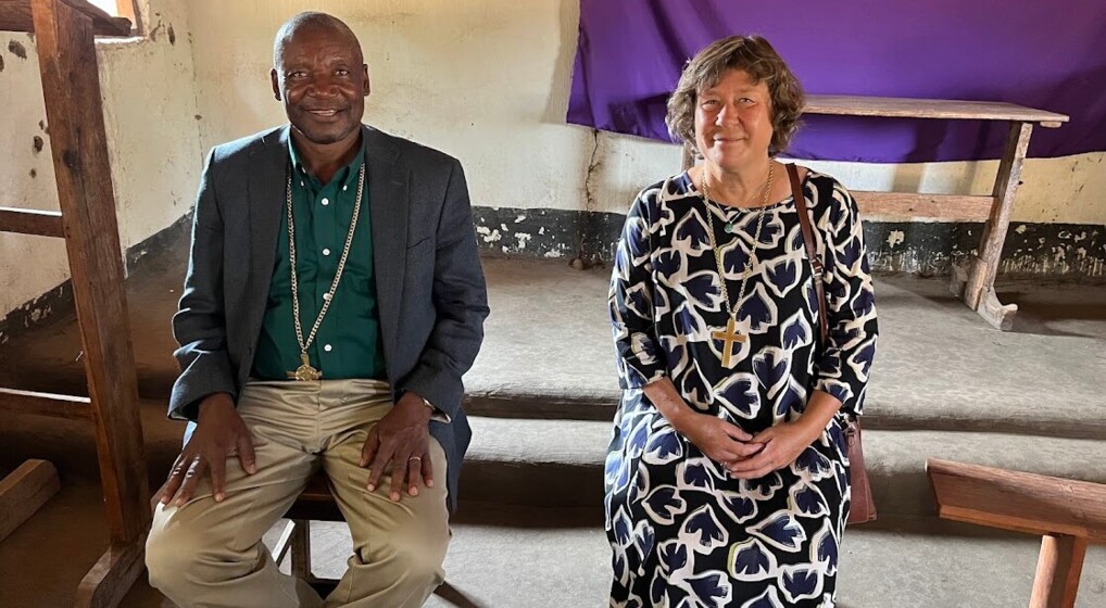 Tanzania-besøg
