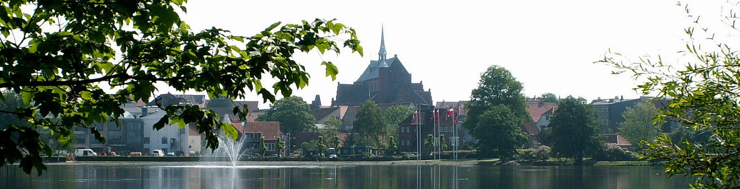 Haderslev Domkirke set fra indre dam