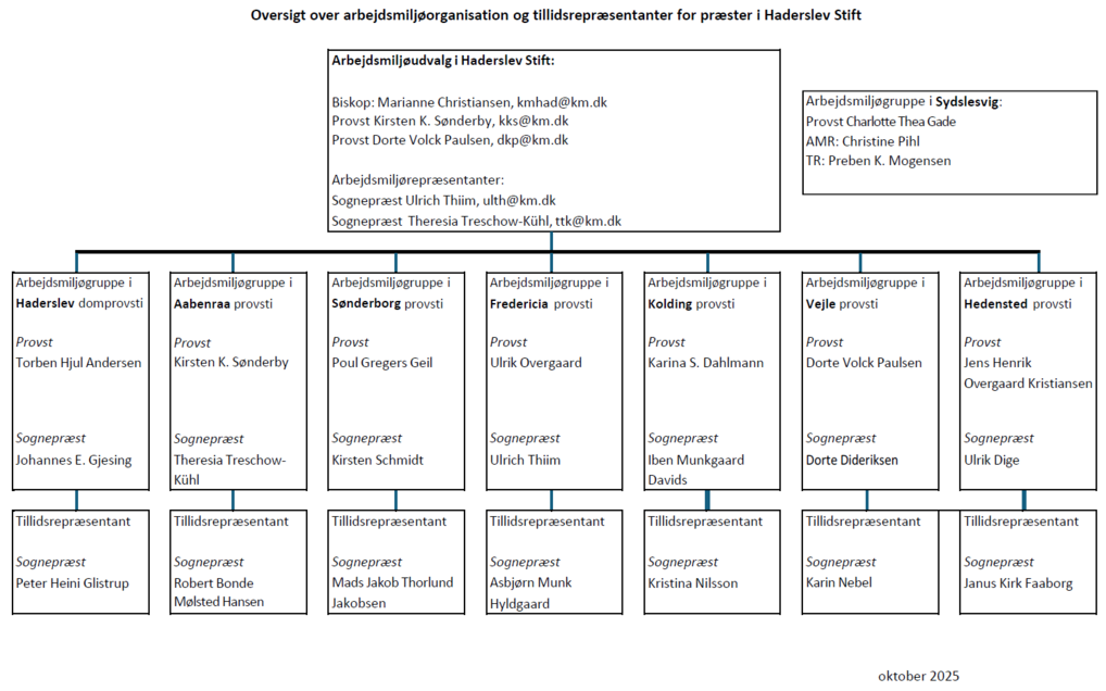 Diagram over arbejdsmiljøorganisationen for præster i Haderslev Stift