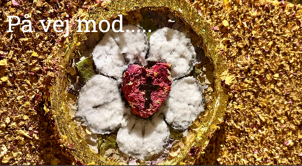 Blomsterudstilling - Lutherrosen